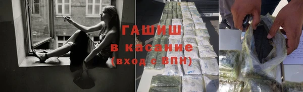 прущие грибы Верхний Тагил