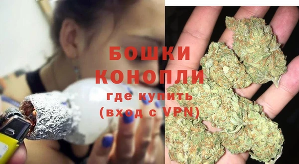 прущие грибы Верхний Тагил