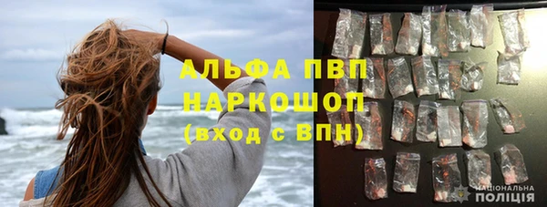 прущие грибы Верхний Тагил