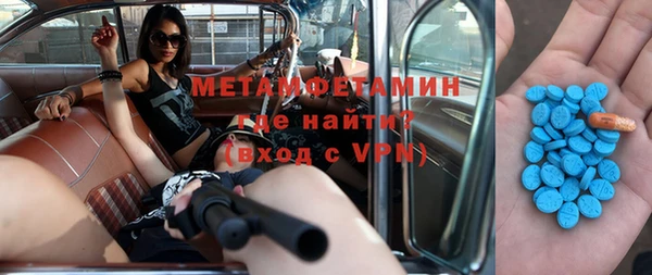 прущие грибы Верхний Тагил