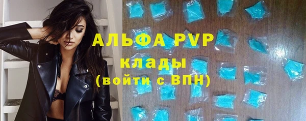 прущие грибы Верхний Тагил