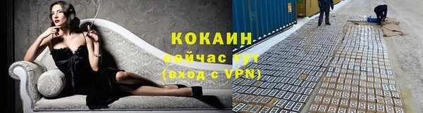 прущие грибы Верхний Тагил
